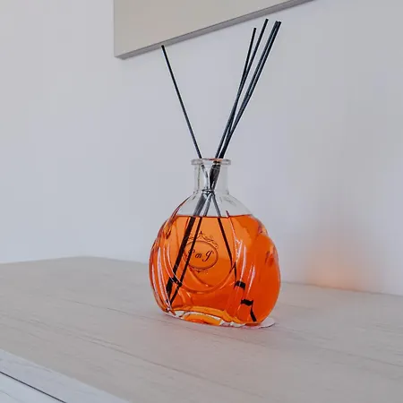 Bilocale Di Charme In Centro * טורינו